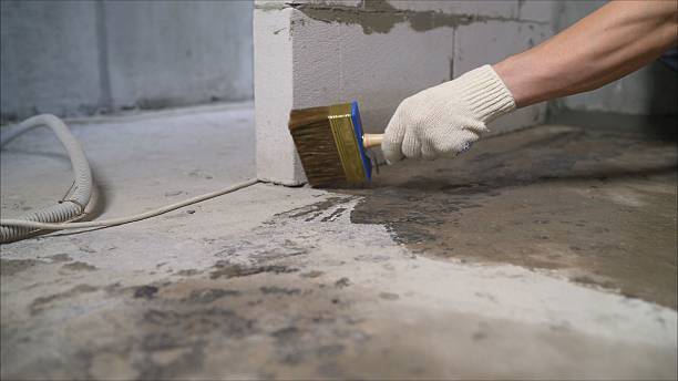 SJ Waterproofing Pros Crawl Space Encapsulation coverage map for Bancroft, MI and surrounding area